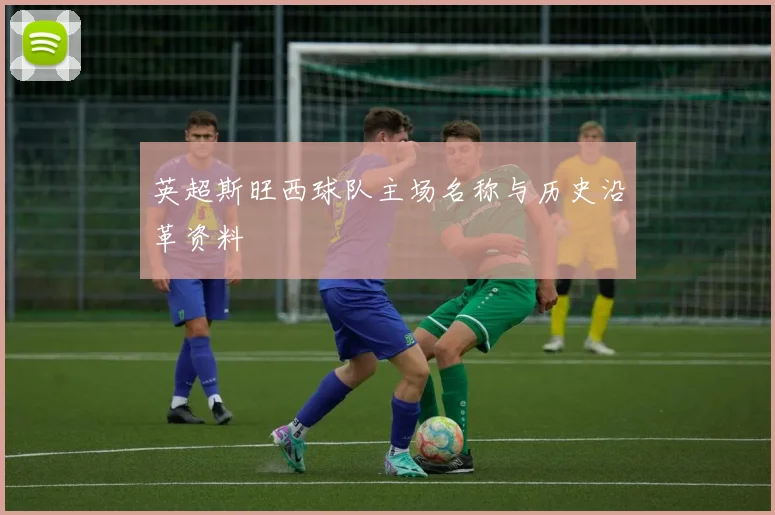 英超斯旺西球队主场名称与历史沿革资料